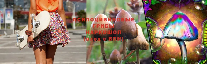 цены   Волчанск  Галлюциногенные грибы Magic Shrooms 